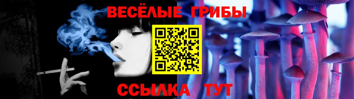 Галлюциногенные грибы мухоморы Кингисепп