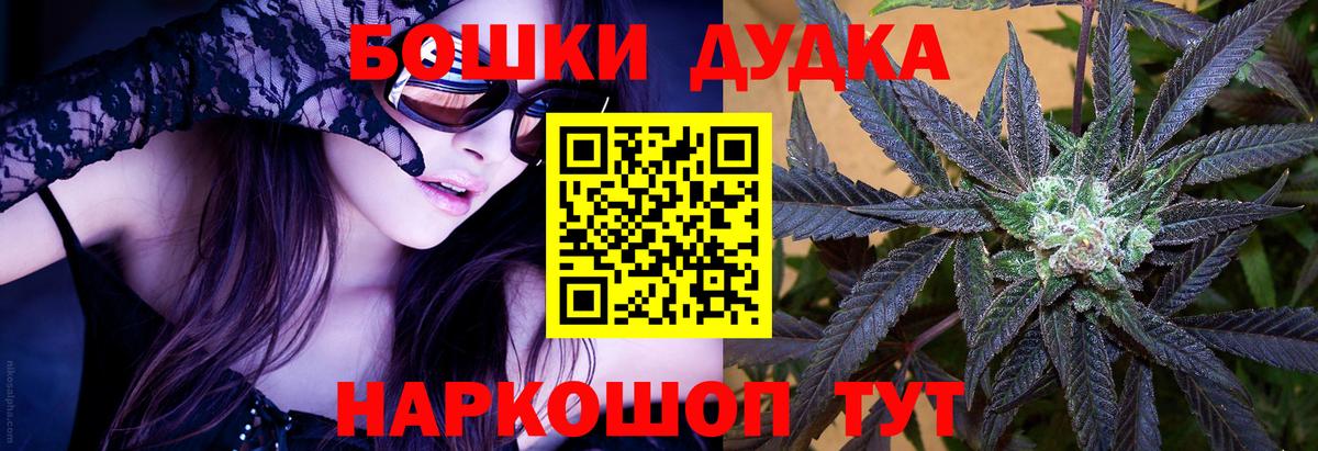 Каннабис ГИДРОПОН  Каннабис сатива  Вход с VPN  Каннабис конопля  Кингисепп 